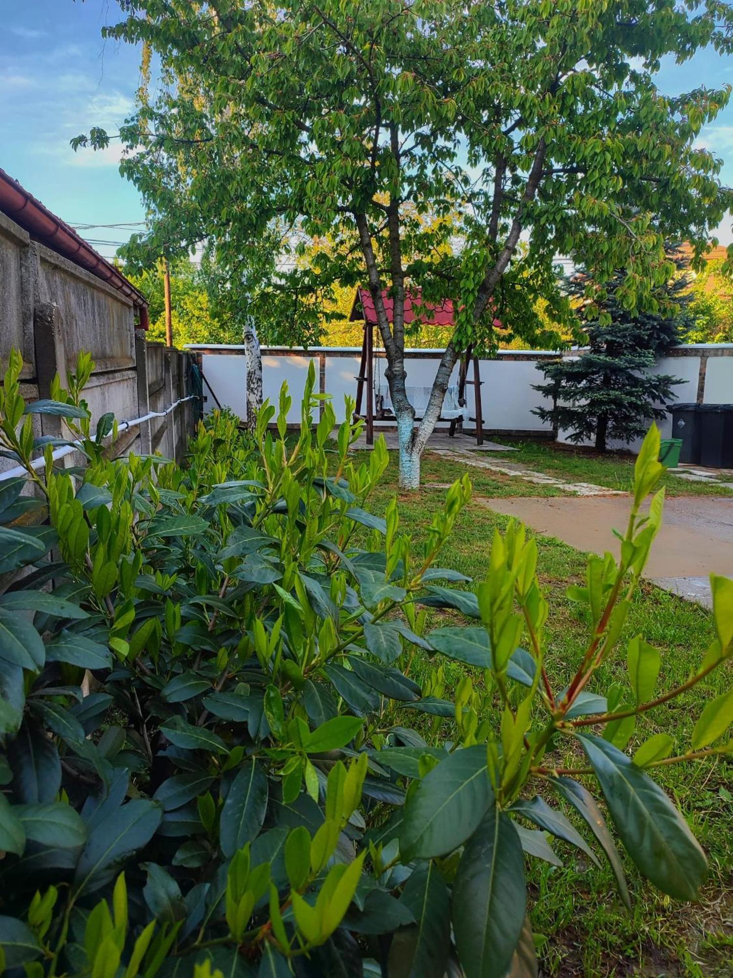 Courtyard Studio Орадя Екстер'єр фото
